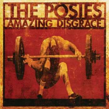 2CD The Posies: Amazing Disgrace