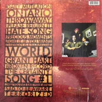 LP The Posies: Amazing Disgrace