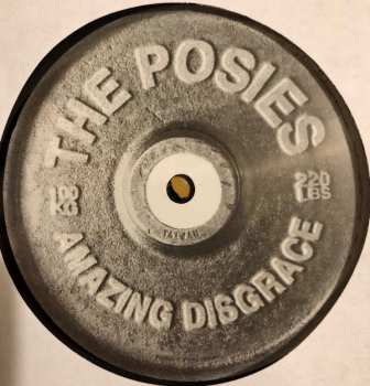 LP The Posies: Amazing Disgrace