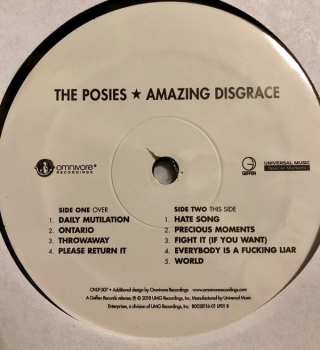 LP The Posies: Amazing Disgrace