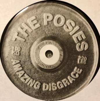 LP The Posies: Amazing Disgrace