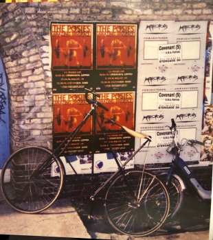 LP The Posies: Amazing Disgrace