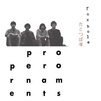 CD The Proper Ornaments: Foxhole