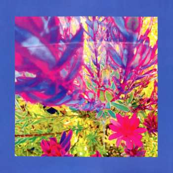 LP The Reds, Pinks And Purples: The Past Is A Garden I Never Fed CLR | LTD