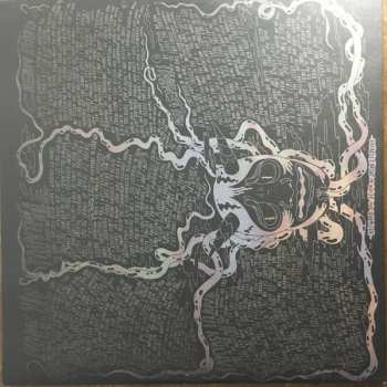 LP The Shins: The Worms Heart