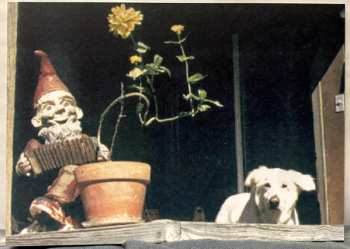 LP The Sixth Great Lake: Up The Country