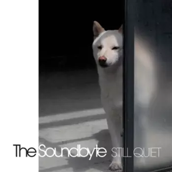 The Soundbyte: Still Quiet