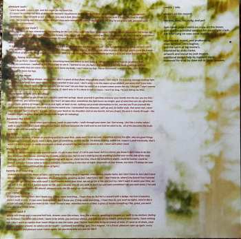 LP The Spirit Of The Beehive: Pleasure Suck CLR | LTD