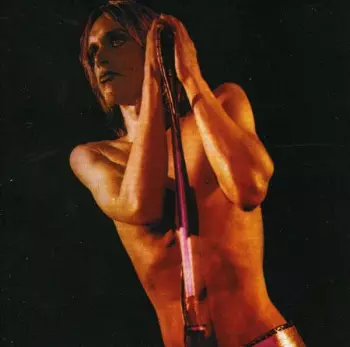 The Stooges: Raw Power