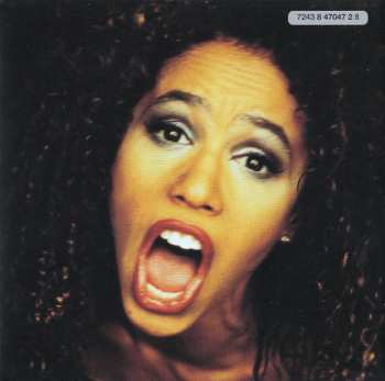 CD The Tamperer: Fabulous