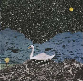 CD The Thermals: Now We Can See