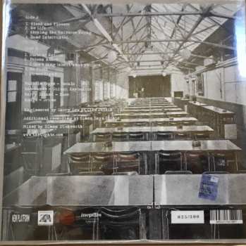 LP The Tights: TV, Work & Bed LTD | NUM | CLR