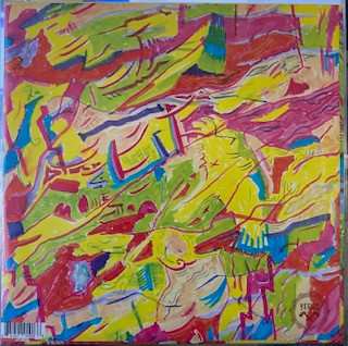 LP The USA Is A Monster: Amikwag LTD