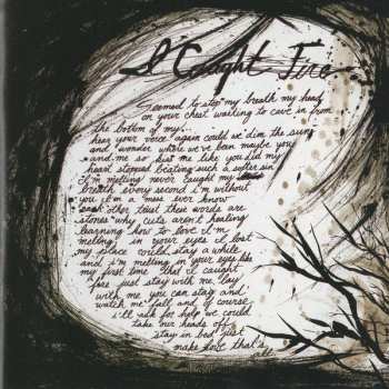 LP The Used: In Love & Death