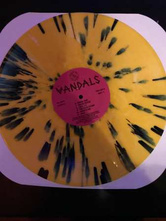 LP The Vandals: When In Rome Do As The Vandals LTD | CLR