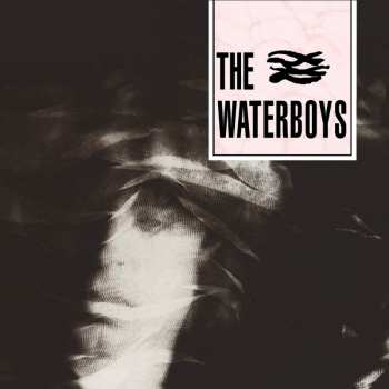 CD The Waterboys: The Waterboys