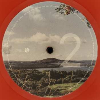 LP The Waterboys: All Souls Hill CLR