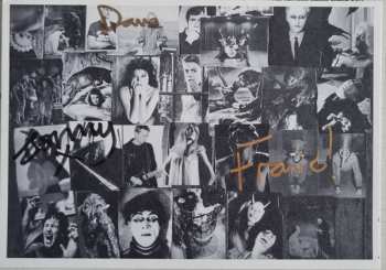 LP The Wave Pictures: Gained / Lost CLR | LTD