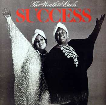 Album The Weather Girls: Success