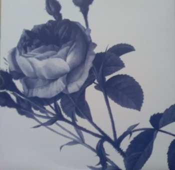 LP/CD The Wedding Present: Tommy 30