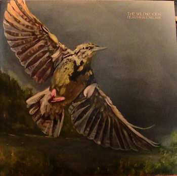 LP The Wildwoods: Dear Meadowlark
