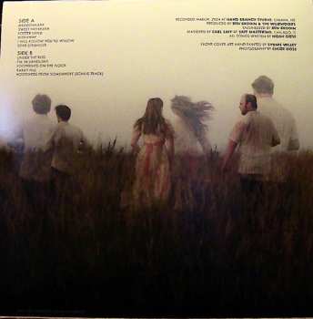 LP The Wildwoods: Dear Meadowlark