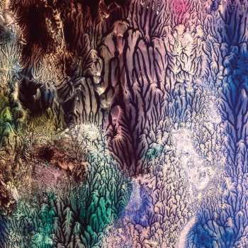 LP The Womb: The Womb