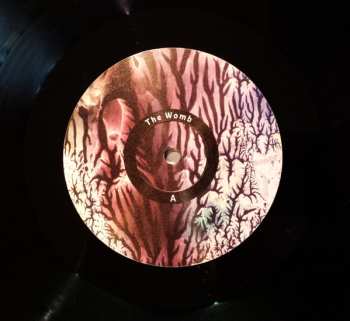 LP The Womb: The Womb
