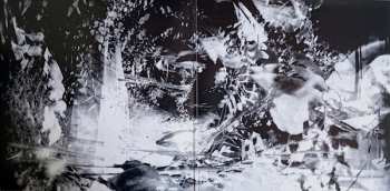 2LP/CD The Young Gods: The Young Gods Play Terry Riley In C