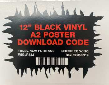 LP These New Puritans: Crooked Wing