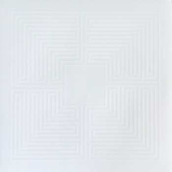 2LP These New Puritans: Hidden [MMXX]