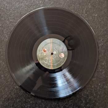 LP They Might Be Giants: Book