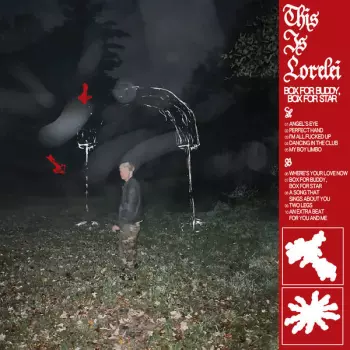 This Is Lorelei: Box for Buddy, Box for Star