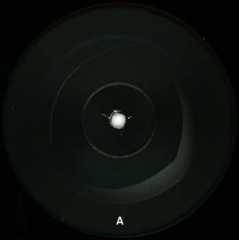 2LP This Will Destroy You: Vespertine 