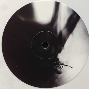 LP Thisquietarmy: Blackhaunter