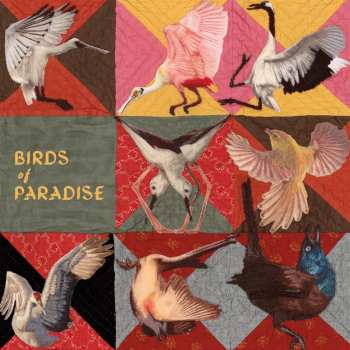 Album Thomas Dollbaum: Birds Of Paradise