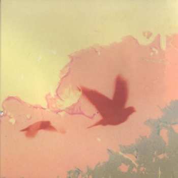 Album Thomas & Sampson: When The Lower Resembles The Higher There Will Be Harmony Upon Reflection