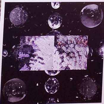 LP Throwing Snow: Dragons CLR