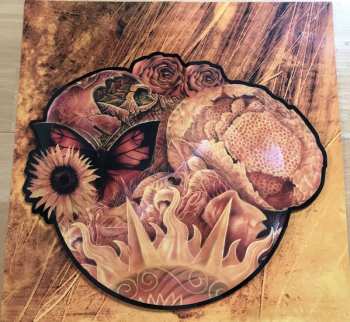 LP Tiamat: Do You Dream Of Me? LTD | NUM | PIC