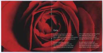 CD Tiamat: Wildhoney