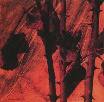 CD Tiamat: Wildhoney