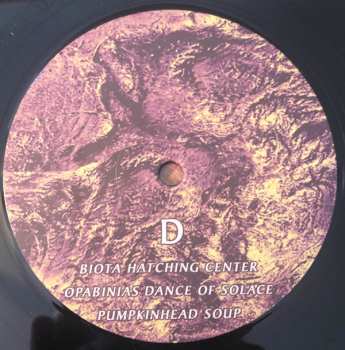 2LP Timelash: A Morphology Of Wonders