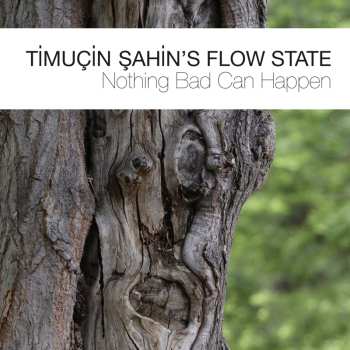 CD Timuçin Şahin's Flow State: Nothing Bad Can Happen