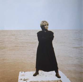 2LP Tina Turner: Wildest Dreams