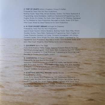 2LP Tina Turner: Wildest Dreams