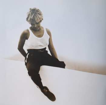 2LP Tina Turner: Wildest Dreams