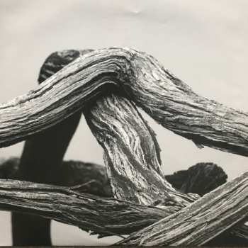 2LP Tinariwen: Elwan