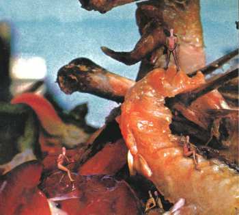 2CD Toe Fat: Bad Side Of The Moon (An Anthology 1970-1972)