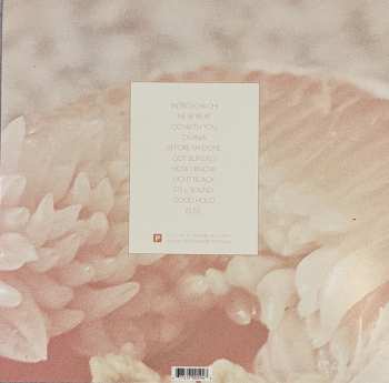 LP Toro Y Moi: Underneath The Pine LTD | CLR