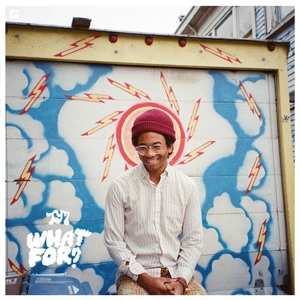 LP Toro Y Moi: What For?